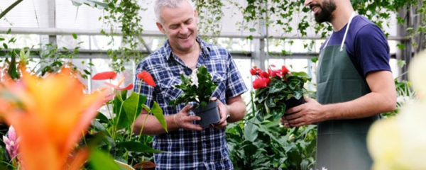 Expert en jardinage